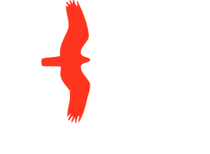Urban Hawk Spatial Data Intelligence